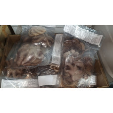 Осьминог целый очищенный с/м (Frozen whole cleaned octopus) Кальмары, осьминоги (Squids, octopuses)