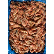 Креветка в панцире в/м с/г 90/120 Канада (Shrimp Canada) Креветки (Shrimp)