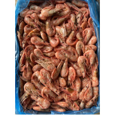Креветка в панцире в/м с/г 90/120 Канада (5кг) (Shrimp Canada) Креветки (Shrimp)