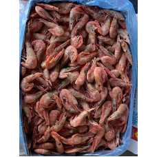 Креветка в панцире в/м с/г 90+ Канада (Shrimp Canada) Креветки (Shrimp)