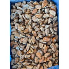 Мясо мидии в/м 100-200 Чили (2x5кг) (Mussel meat) Мидии (Mussels)