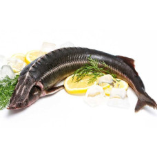 Белуга Азовская тушка (Beluga Azov) Рыба (Fish)