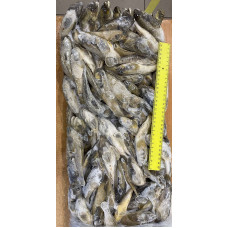 Бычок азовский с/м 12-14+ (пласт) (Azov goby) Рыба (Fish) Бычок азовский с/м 12-14+ (пласт) (Azov goby) Рыба (Fish)