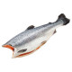 Форель б/г с/м (Trout) Рыба (Fish)
