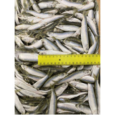 Килька с/м (3x10кг) (Sprat) Рыба (Fish) Килька с/м (3x10кг) (Sprat) Рыба (Fish)