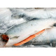 Кижуч Лосось б/г с/м (Coho Salmon) Рыба (Fish)