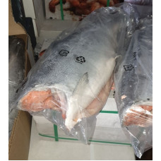Кижуч тушка б/г с/м 2,7-3,2 (25кг) (Fresh frozen coho salmon) Рыба (Fish)
