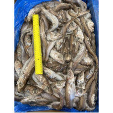 Путассу блувайтинг с/г с/м 23+ (20кг) (Blue whiting) Рыба (Fish) Путассу блувайтинг с/г с/м 23+ (20кг) (Blue whiting) Рыба (Fish)