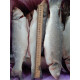 Сибас с/м 300-400 (10кг) Сибас с/м 300-400 (10кг) (Sea bass frozen) Рыба (Fish)