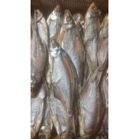 Густера вяленая чищенная (Gustera dried peeled) Рыба (Fish) Густера вяленая чищенная (Gustera dried peeled) Рыба (Fish)