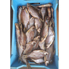 Густера вяленая чищенная средняя (Gustera dried peeled) Рыба (Fish)