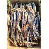 Корюшка балтийская икряная вяленая (Baltic smelt dried) Рыба (Fish) Корюшка балтийская икряная вяленая (Baltic smelt dried) Рыба (Fish)