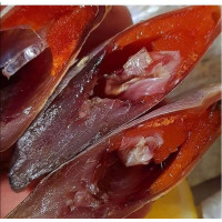 Плотва вяленая чищенная с икрой (Dried peeled roach with caviar) Рыба (Fish) Плотва вяленая чищенная с икрой (Dried peeled roach with caviar) Рыба (Fish)
