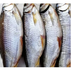 Тарань икряная вяленая чищеная (Roach dried) Рыба (Fish) Тарань икряная вяленая чищеная (Roach dried) Рыба (Fish)